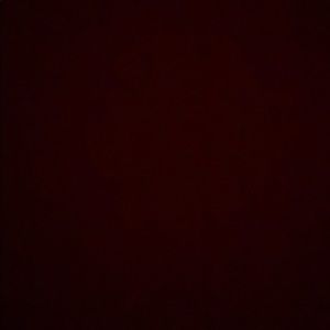 Meet your Posher, Lex